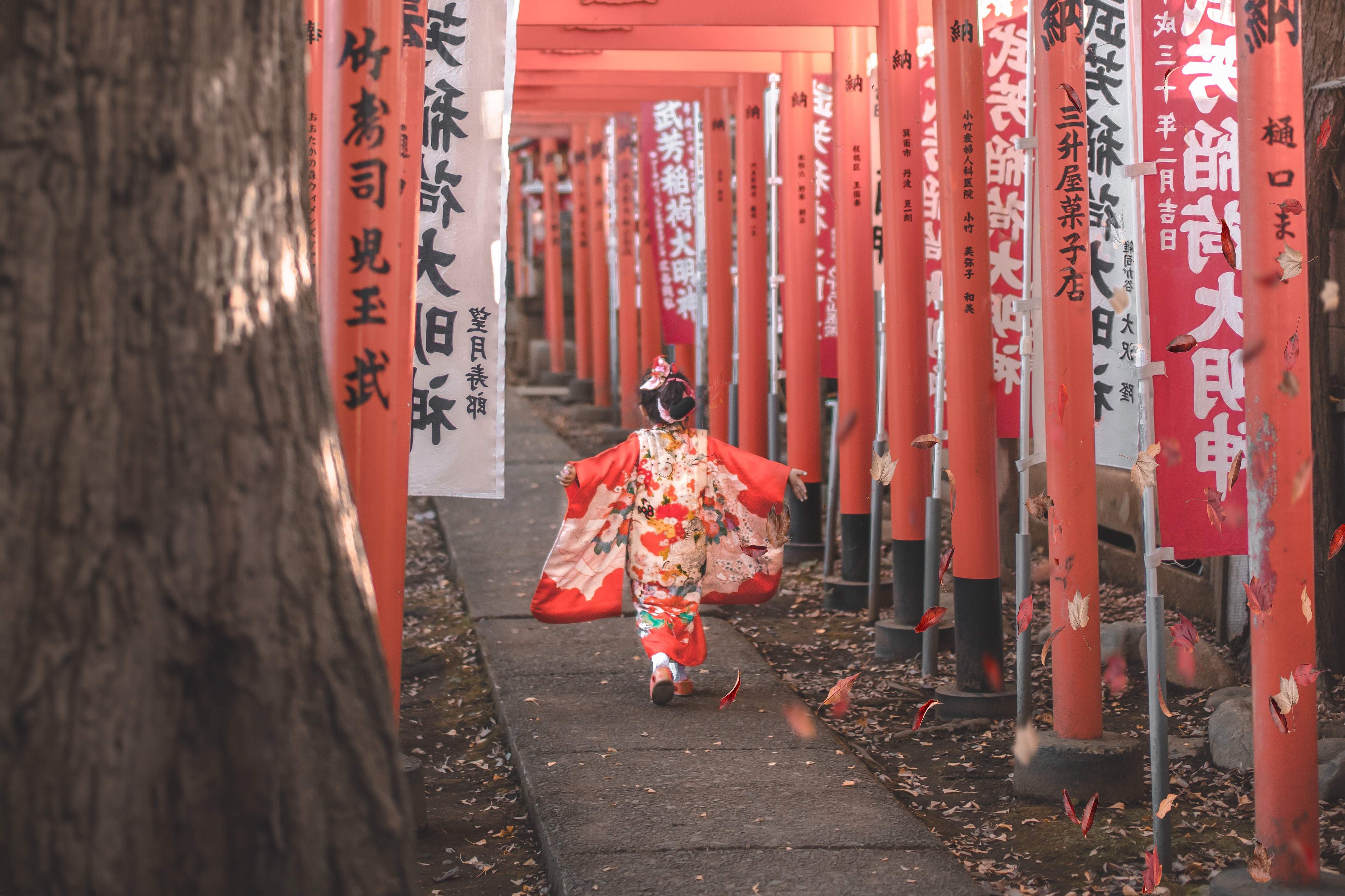 ⛩️ 고샤 신사·스와 신사 (五社神社·諏訪神社) 이미지 5